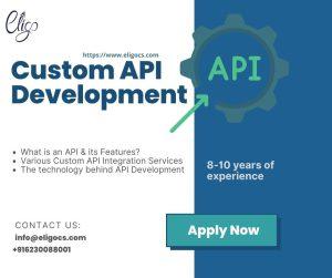 What are the Custom API Development Services and its Benefits by Eligocs